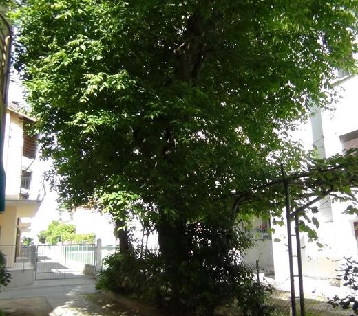 Hotel Casa Mia