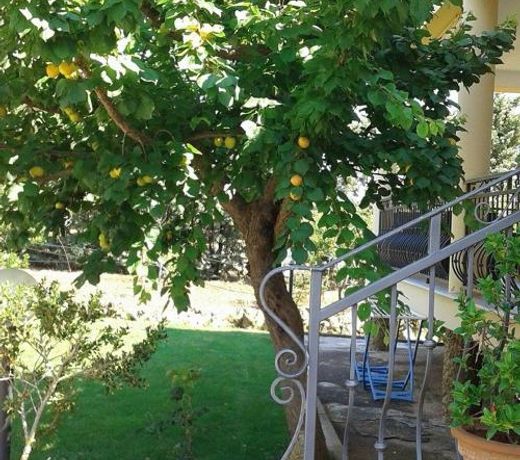 Anna Rita Alghero B&B
