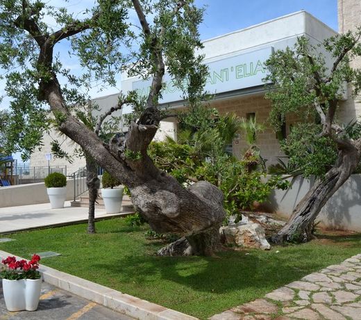 Park Hotel Sant'Elia