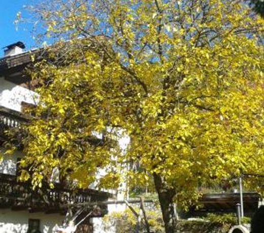 Huberhof