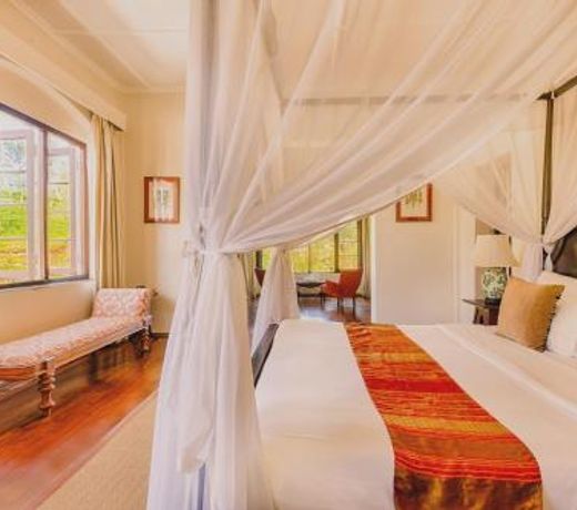 Dickoya by Zinc Journeys
