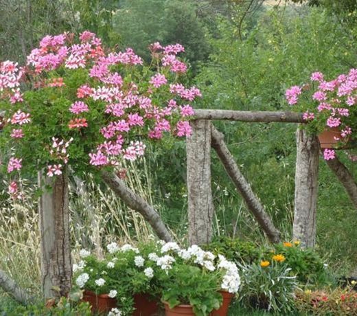 AGRITURISMO IL COLLE