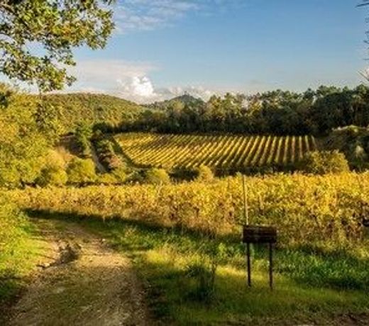 Agriturismo Fattoria di Gratena