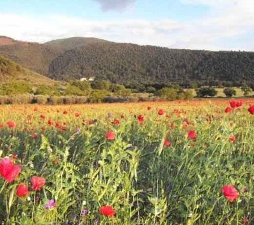 Agriturismo Il Casalino