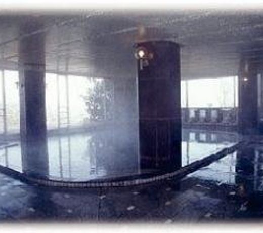 Toyama Kanko Hotel (Ryokan)