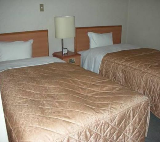 Business Hotel Ota Inn