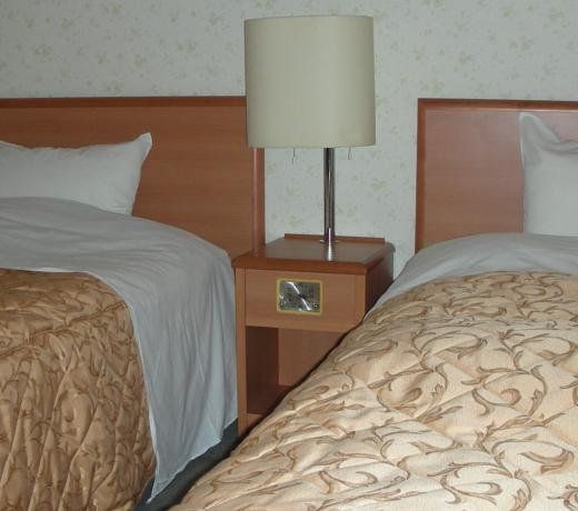 Business Hotel Ota Inn