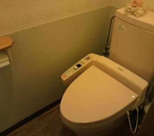 Lodge Ueno Ski