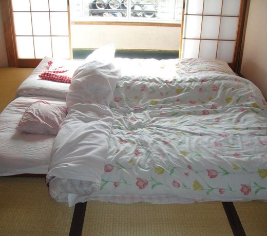 Narusawa Lodge