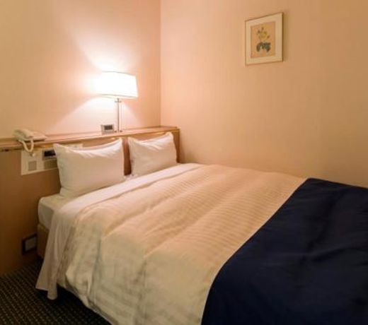 Ariston Hotel Miyazaki