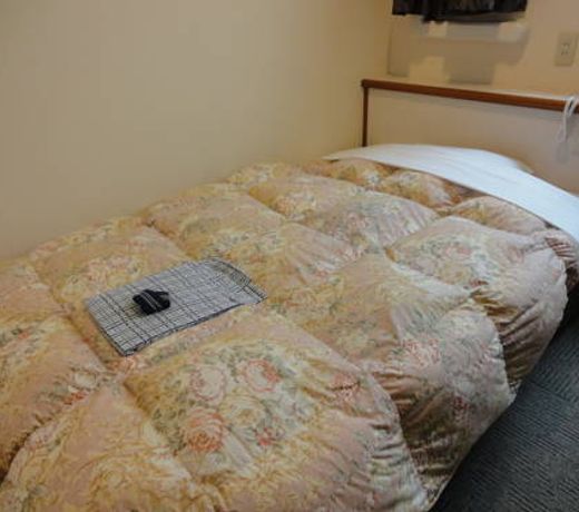 Matsue Plaza Hotel Annex