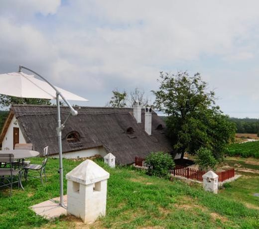 Skrabski Apartman es Tulipan Haz