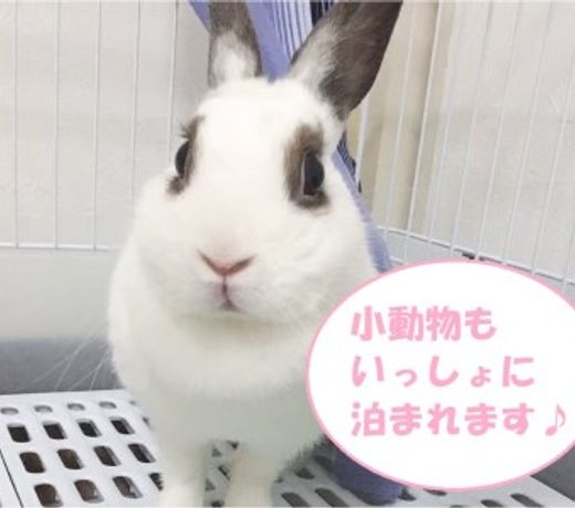 New Matsuo