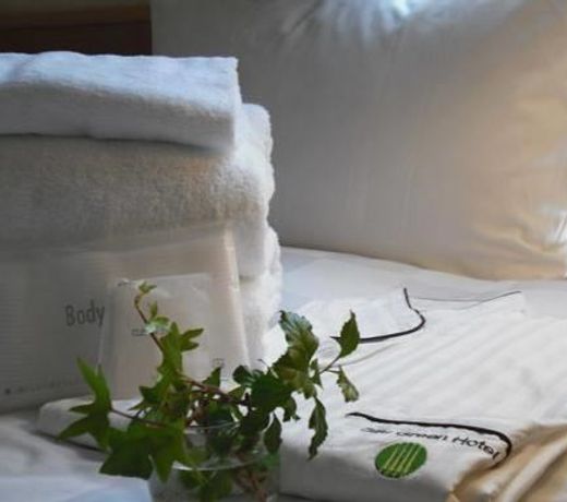 Gifu Green Hotel