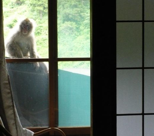 JIGOKUDANI ONSEN KORAKUKAN