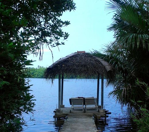 Mangrove Villa