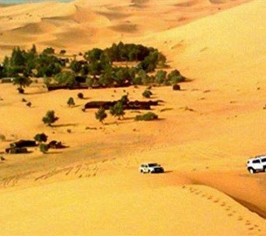 CAMEL SAFARI CAMP
