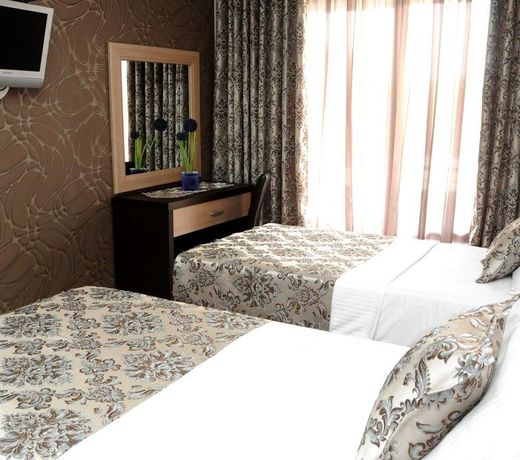 Hotel Lion