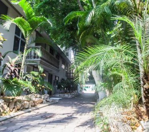 Suites Lafragua