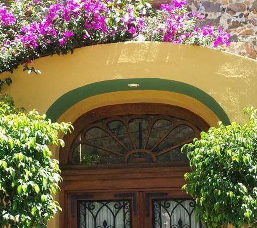 La Casa de la Rosa Rosa- Boutique Villas Xichu