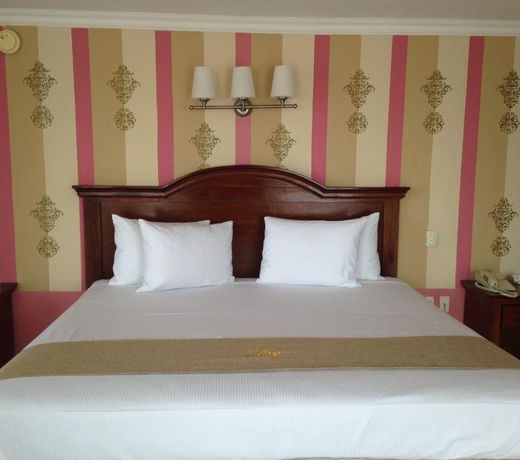 Hotel Plaza Colonial
