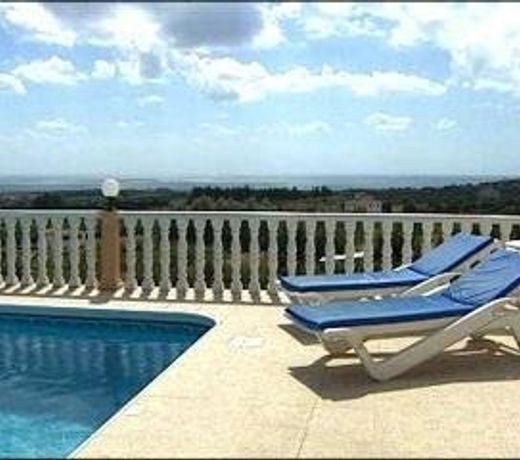 Secret Oasis Anemona