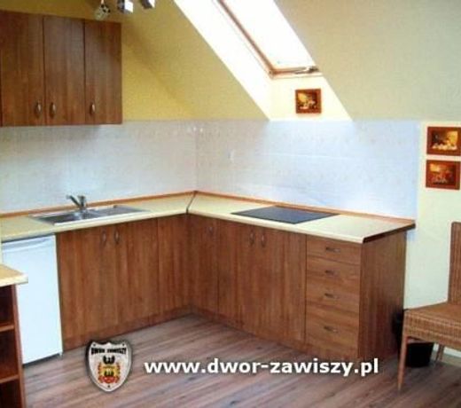 Dwor Zawiszy
