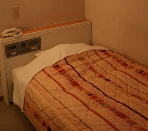 Sabae City Hotel