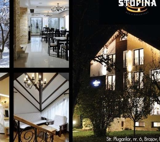Stupina