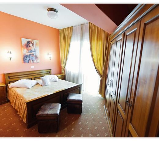 Hotel Coandi