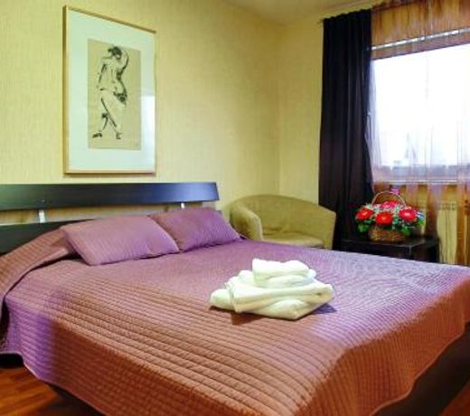 Hotel Pargolovsky