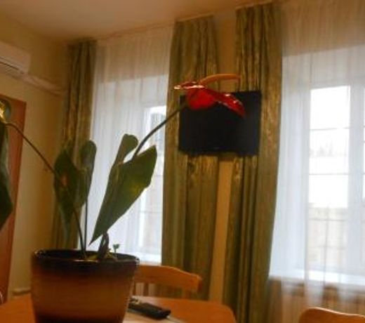 Tsarevna Lyagushka Hotel