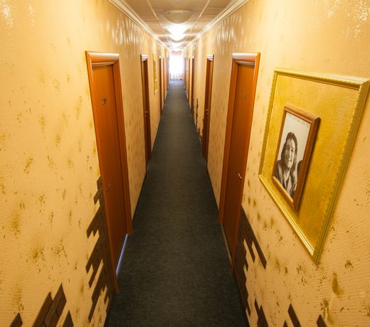 Hotel Aviator Sheremetyevo