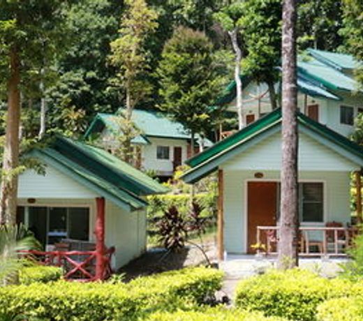 Mountain View Resort