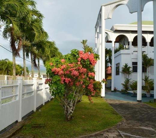 TROPICAL PALACE
