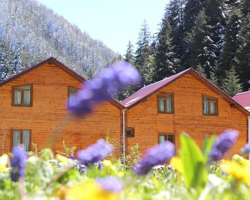 Uzungöl Bungalow House - Узунгёль - фото 20