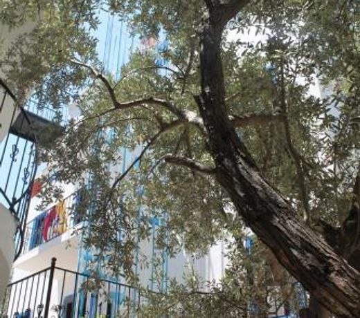 Lizo Hotel