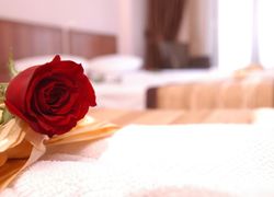 The House Hotel Galatasaray - Special Class фото 2