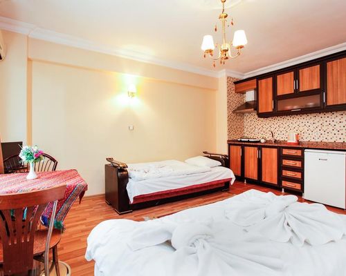 Serdivan Apart Hotel - Стамбул - фото 4