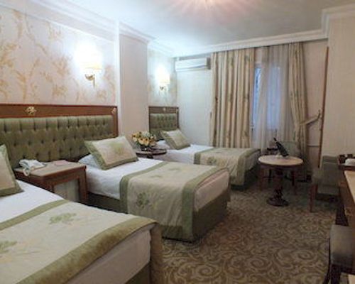 Grand Asiyan Hotel - Стамбул - фото 3