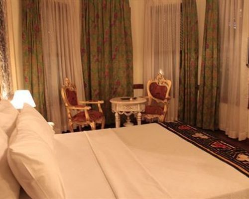 Beylerbeyi Palace Boutique Hotel - Стамбул - фото 3