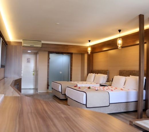 Basmacioglu Hotel - Special Class