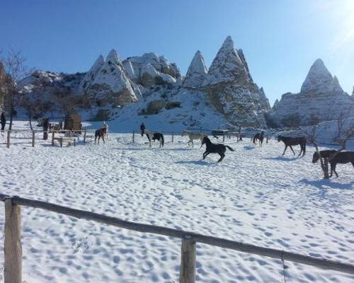 Terra Cave Hotel - Гореме - фото 23