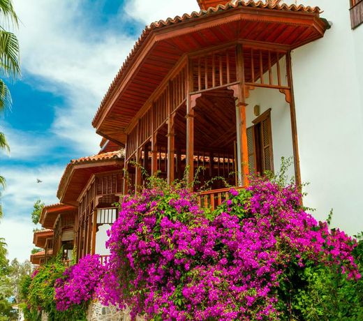 Letoonia Club-Hotel