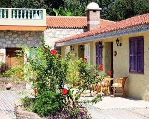 Olive Farm Of Datca Guesthouse - Датча - фото 23