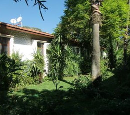 Hotel Happy Caretta