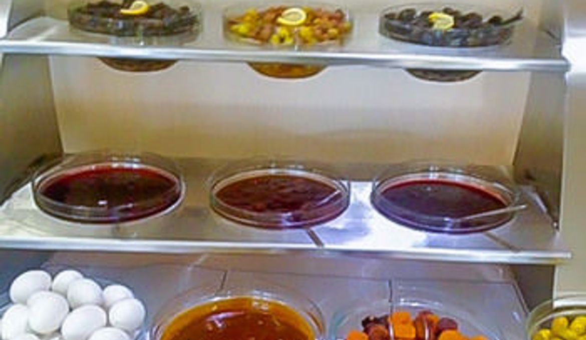 Buyukada Princess Hotel