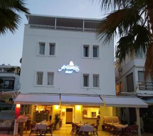 Artemis Hotel