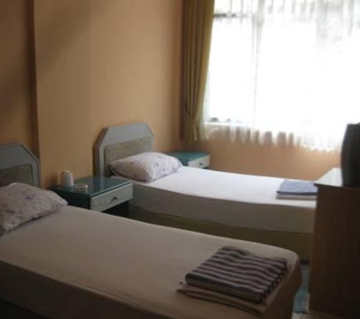 ALP HOTEL