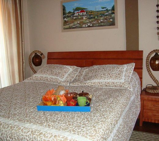Fuego Mio Bed & Breakfast